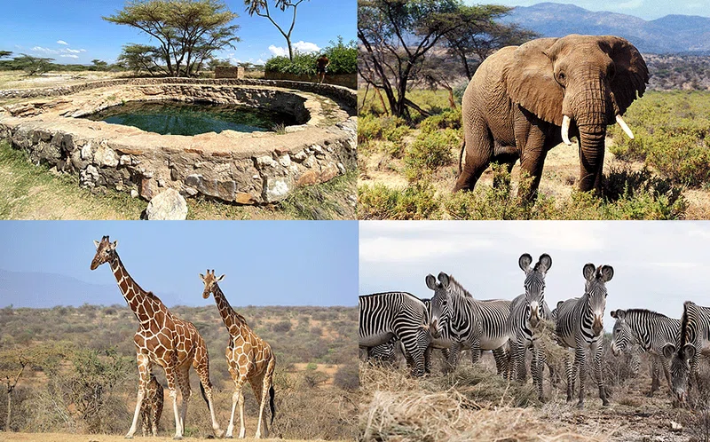 Isiolo County