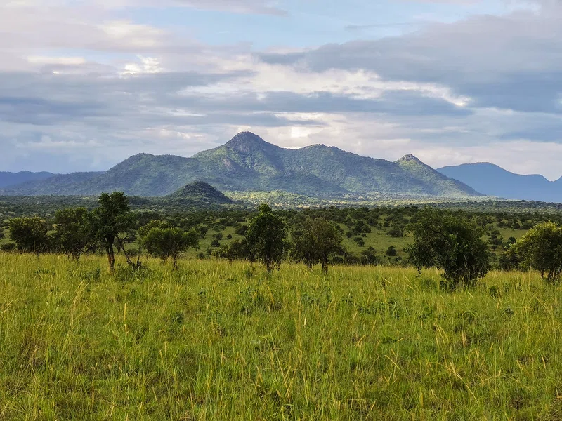 Mount Morungole 3