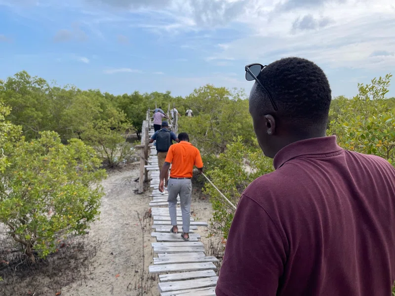 Mida Creek