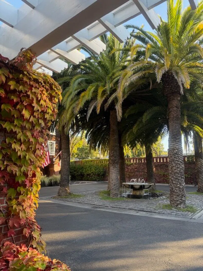Stanford 2