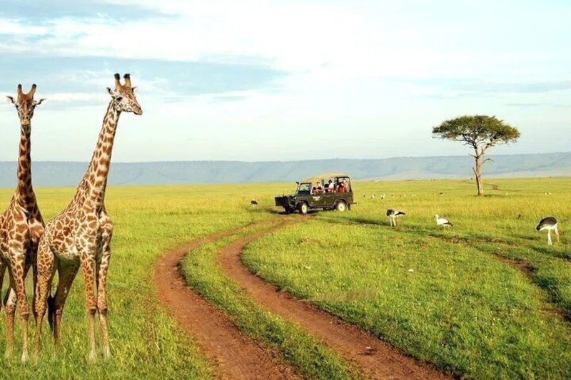 Pietermaritzburg 3