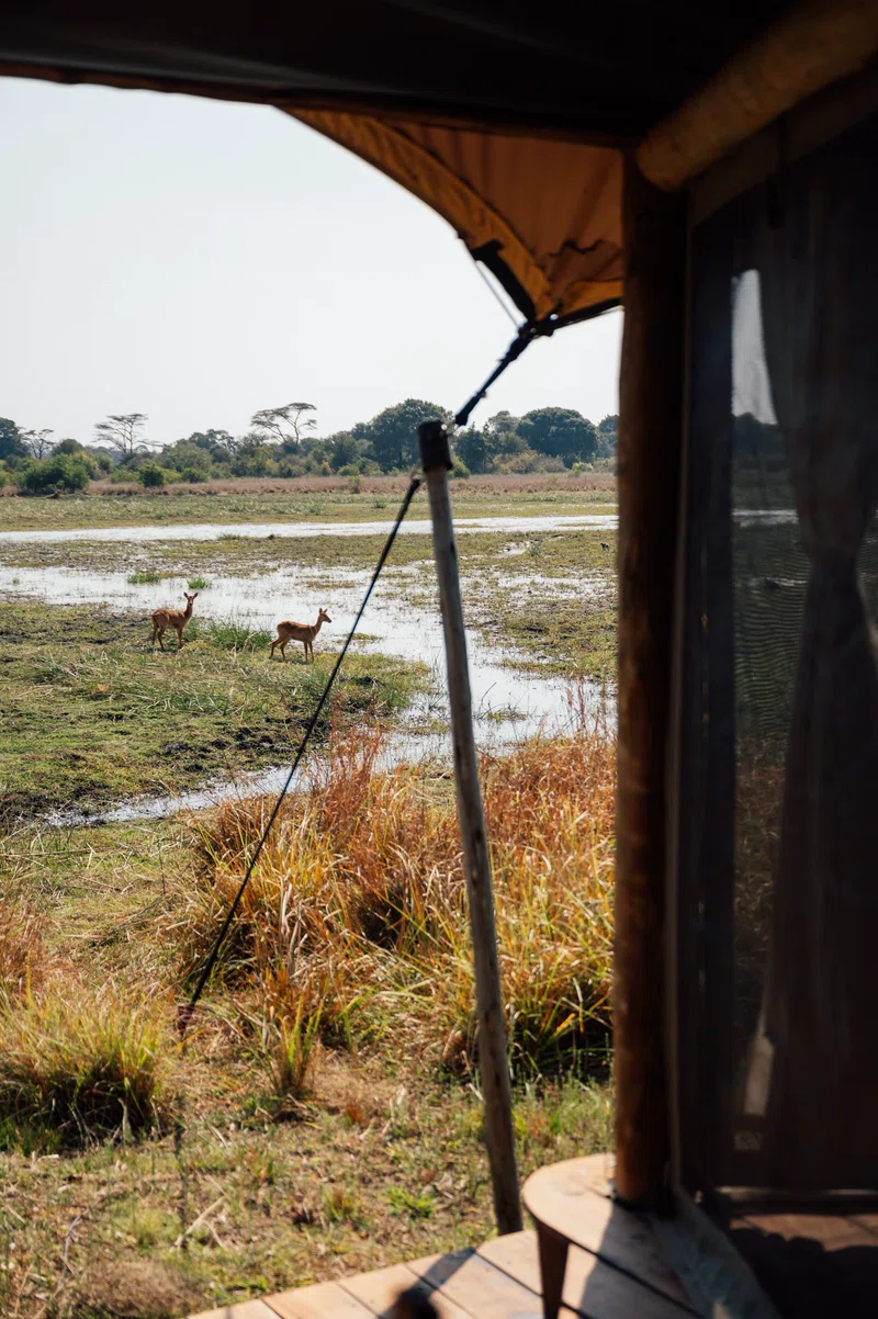 Kafue River 4