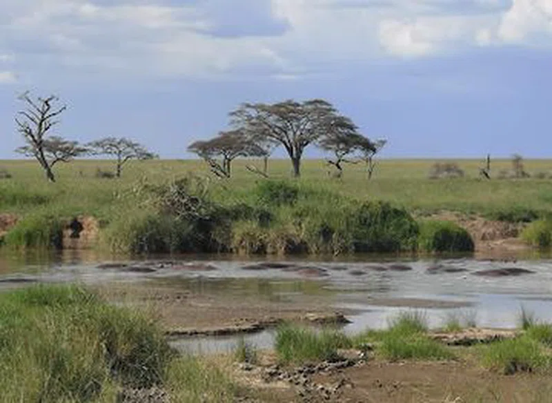 Singida Region 3