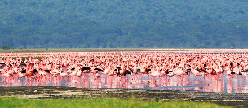 Singida Region