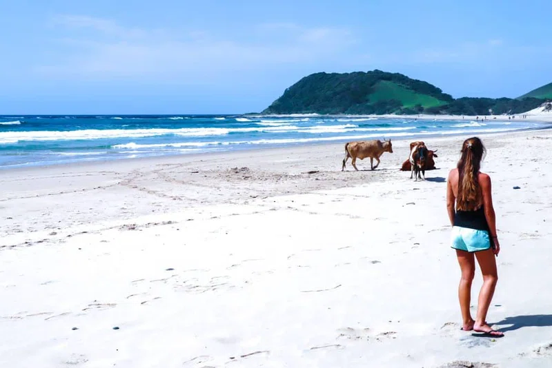 Eastern Cape Beaches 3