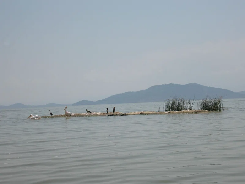 Lake Ziway 3