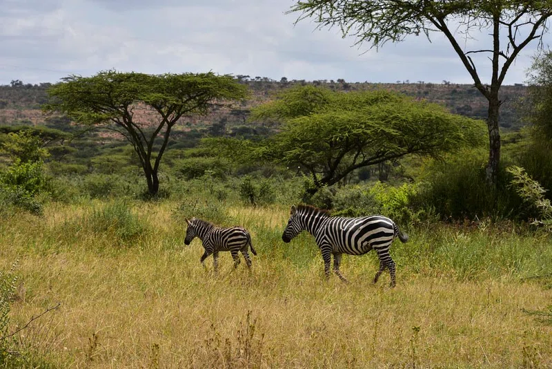 Yabello Wildlife Sanctuary 2