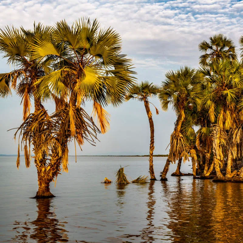 Lodwar 3