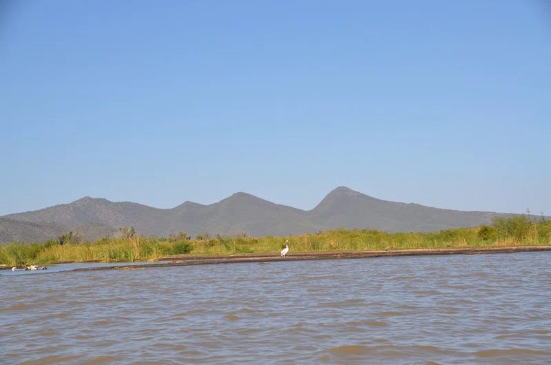 Lake Chamo