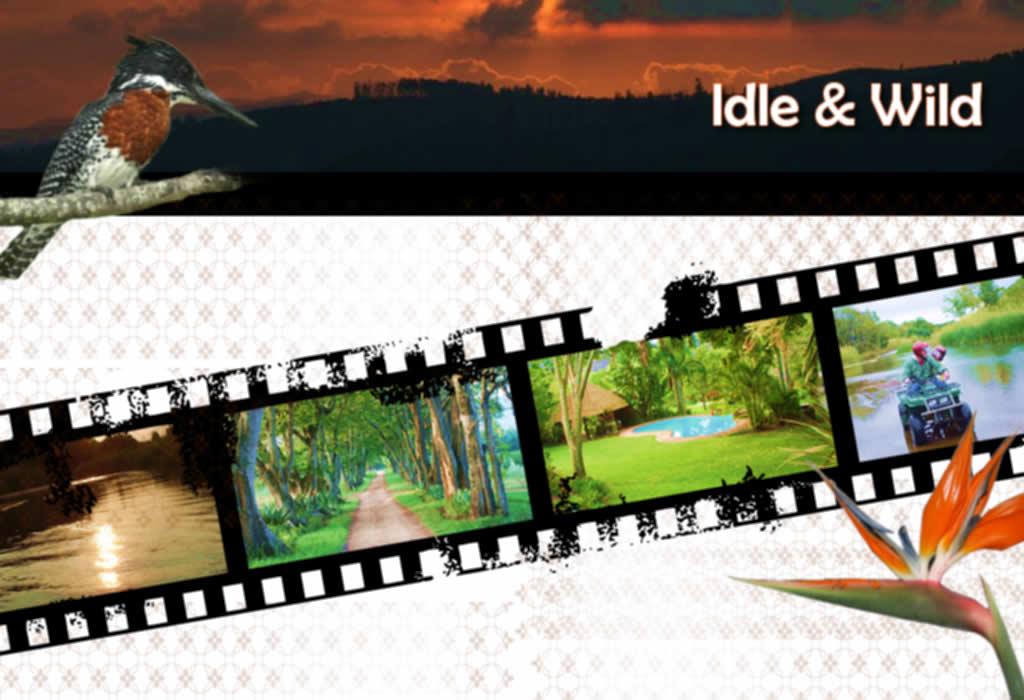 Idle & Wild