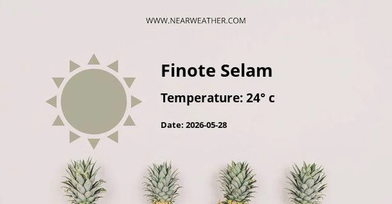 Finote Selam 2