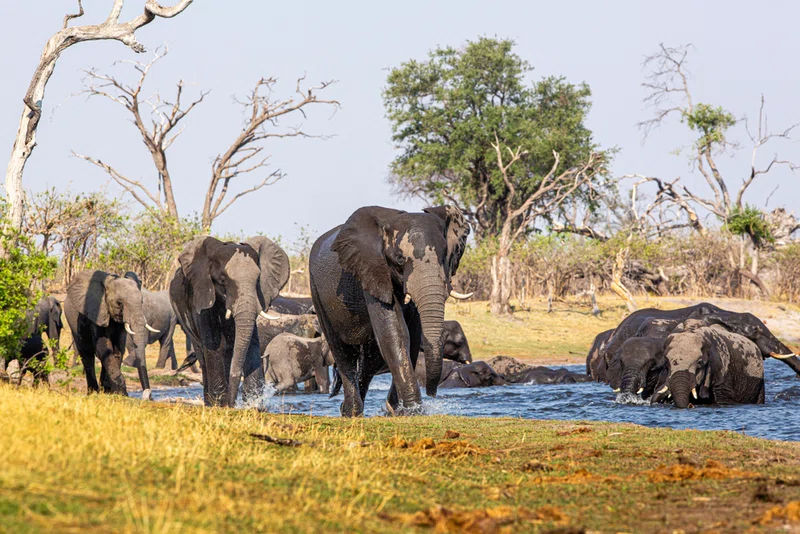 Mudumu National Park 3