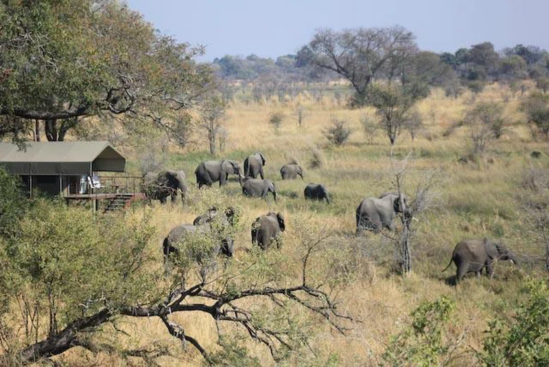 Mudumu National Park 2