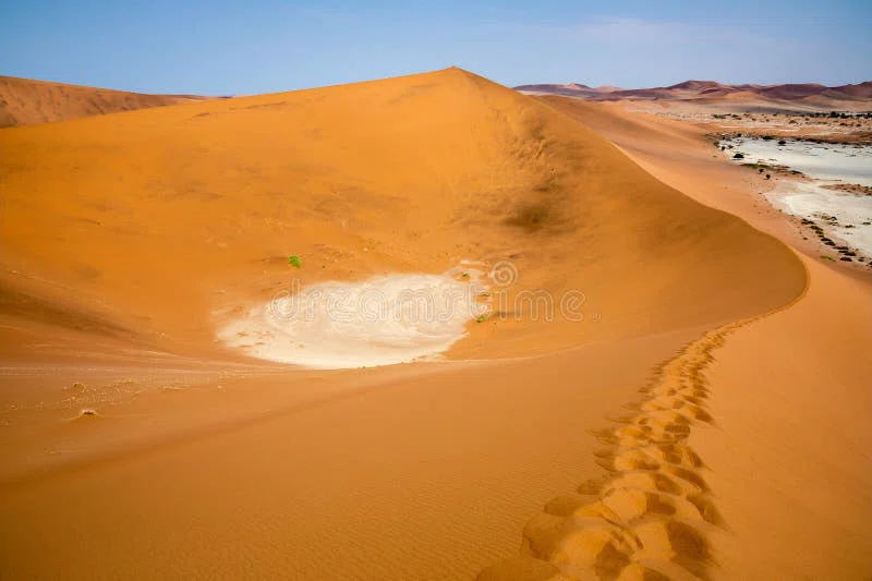 Dune 45 5