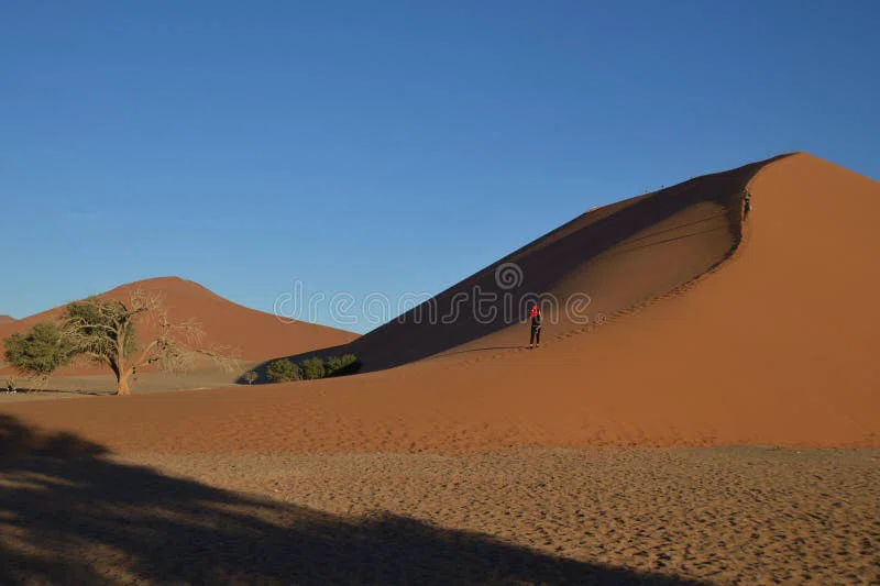 Dune 45