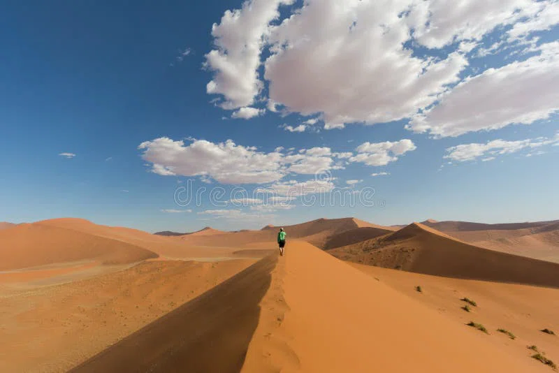Dune 45 4