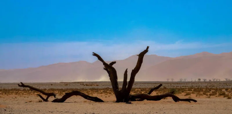 Dune 45 2
