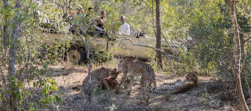 Arathusa Game Reserve 4