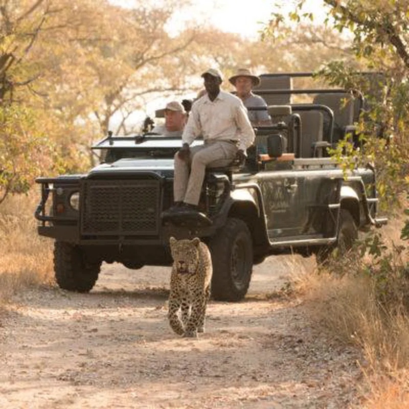 Simbambili Game Reserve 2