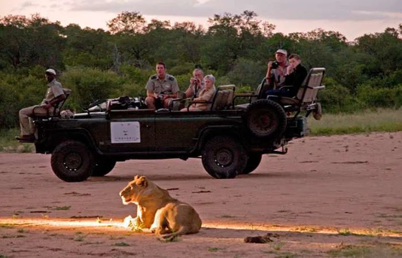 Simbambili Game Reserve 3