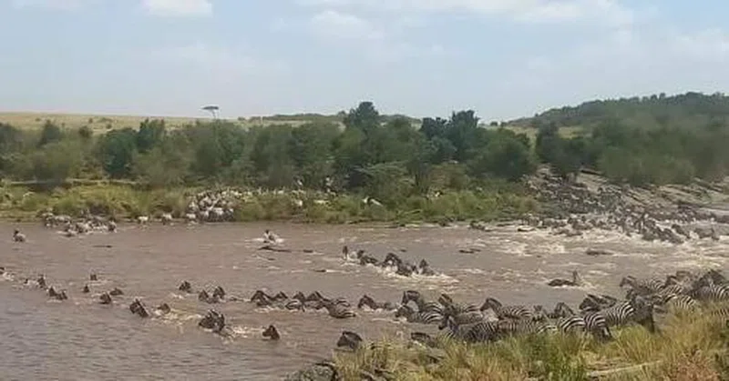 Talek River 5