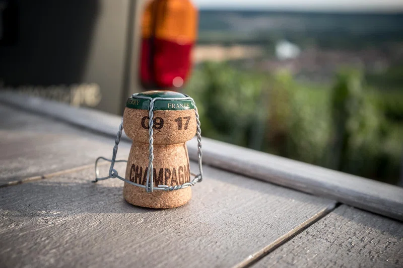 Champagne Valley 4