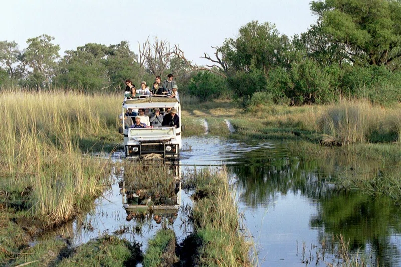 Godikwe Heronry 3