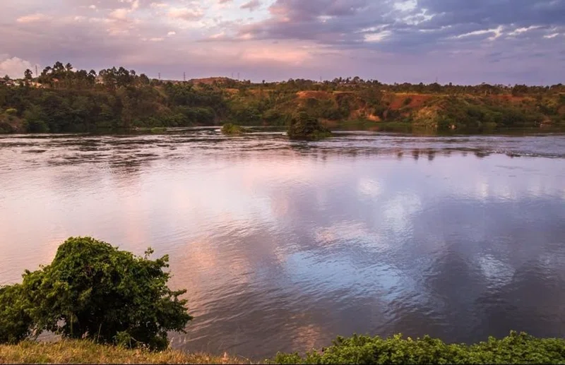 Lake Bisina