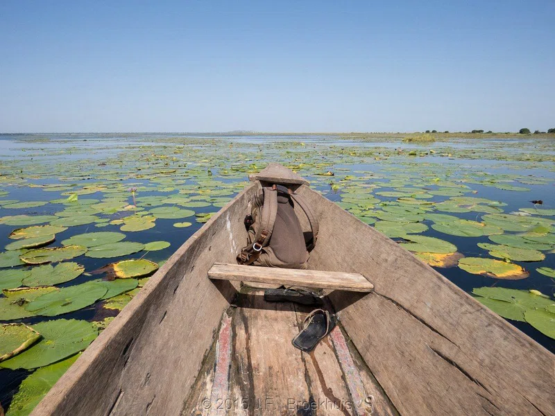 Lake Bisina 2
