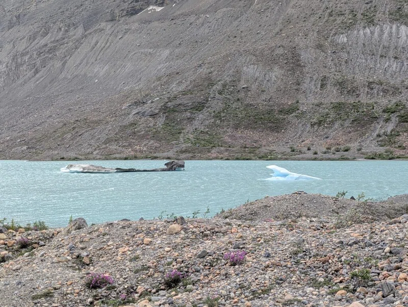 Berg River Estuary 5