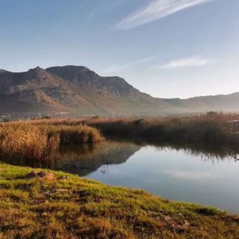 Verlorenvlei Estuary