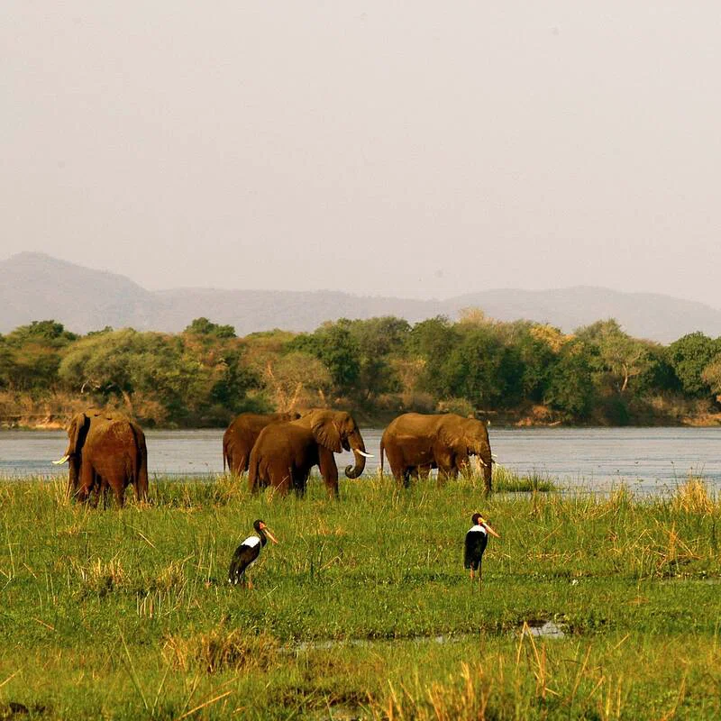Zambezi Valley