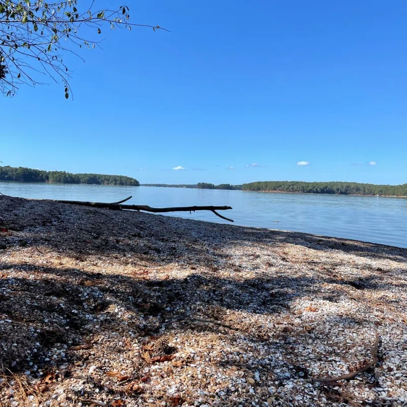 Desroches Island 2