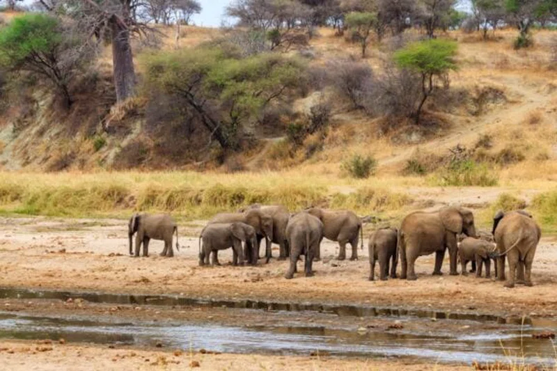 Mbalageti River