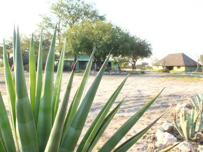 Otavi 2