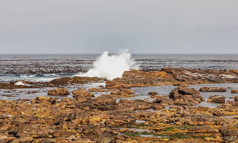 Western Cape