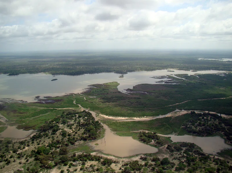 Nyakhanzi