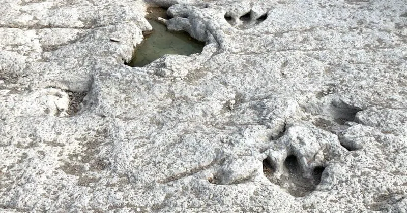 Yaeda Valley 3