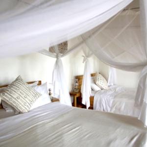 Papaya Lake Lodge 3