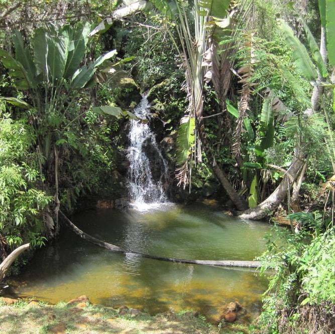 Parc Zoologique Ivoloina 4