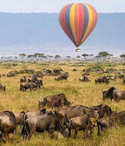 Explore Africa Holidays Safaris 1