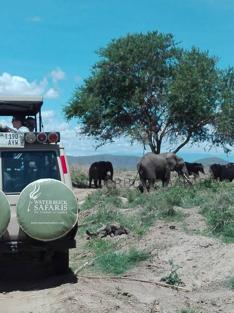 Waterbuck Safaris 4