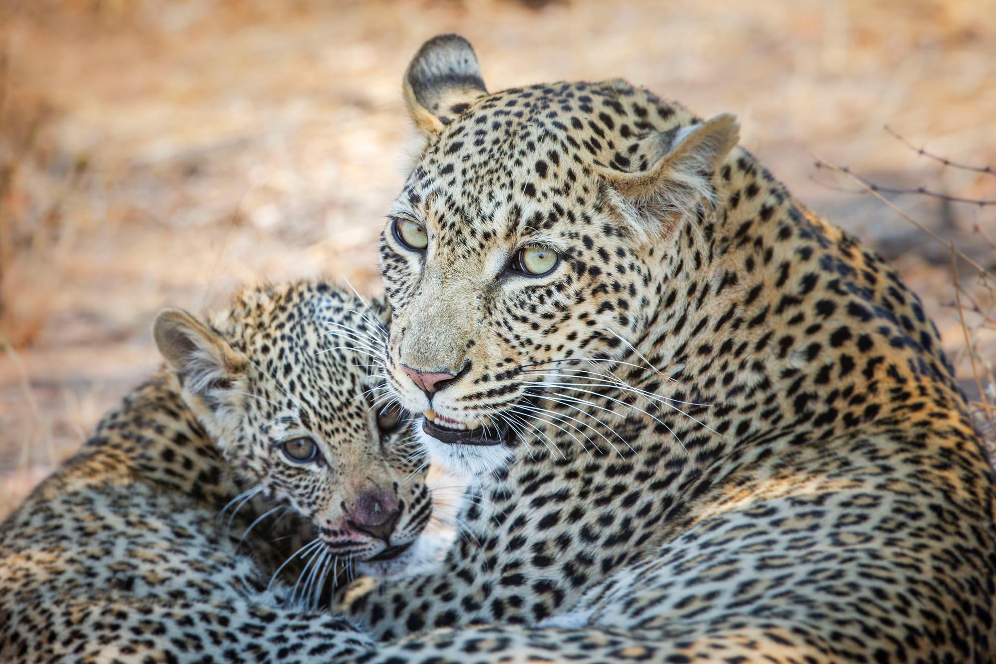 Timbavati Picnic Area 5