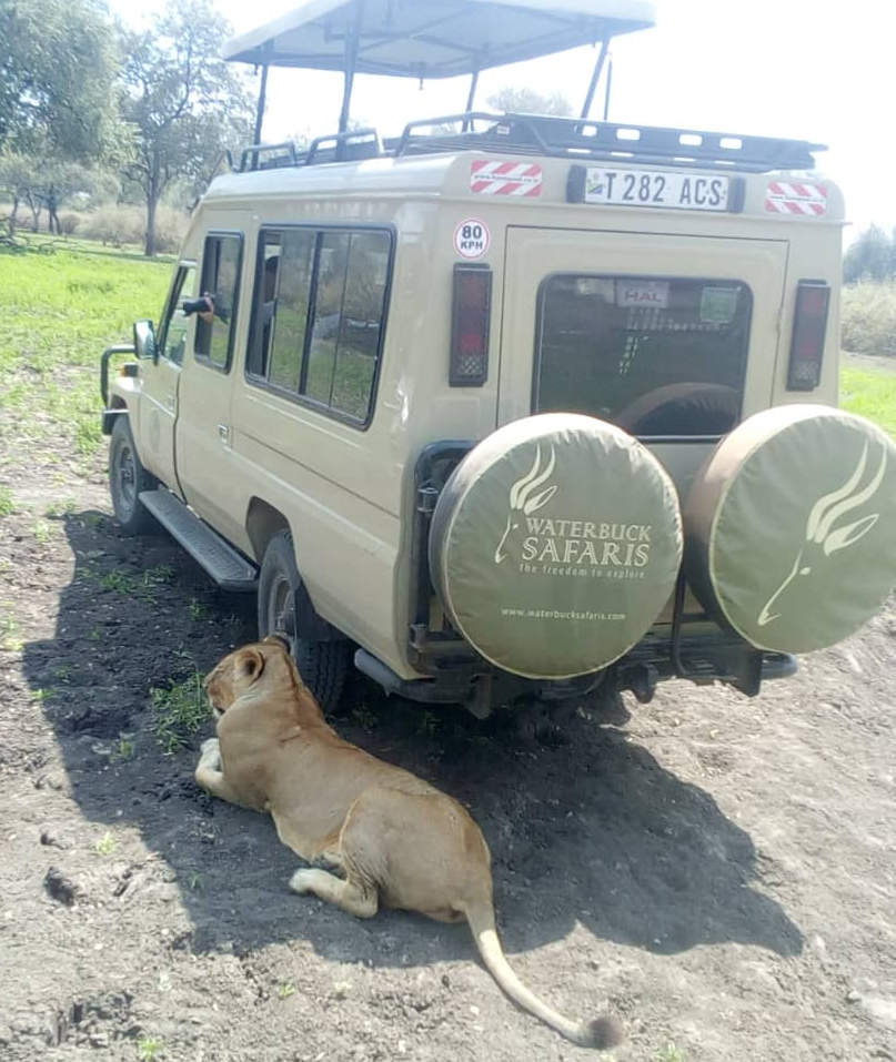 Waterbuck Safaris 5