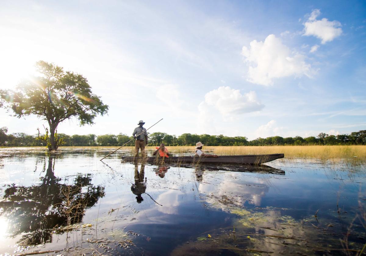 Botswana Tourism Organisation