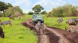 Tanzania 4x4 Safari Tours
