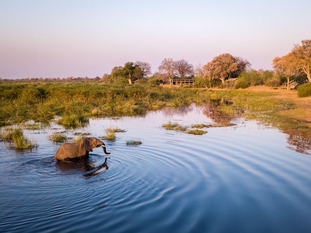 Linyanti Tented Camp