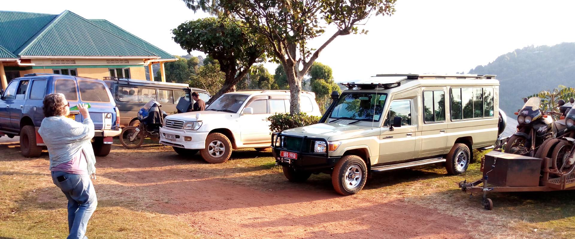 Gorilla Mist Camp