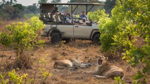 Ila Safari Lodge by Green Safaris 3