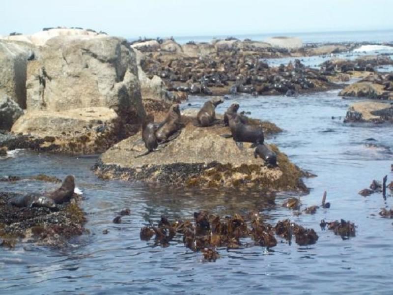 Warren Marine (Pty) Ltd 2